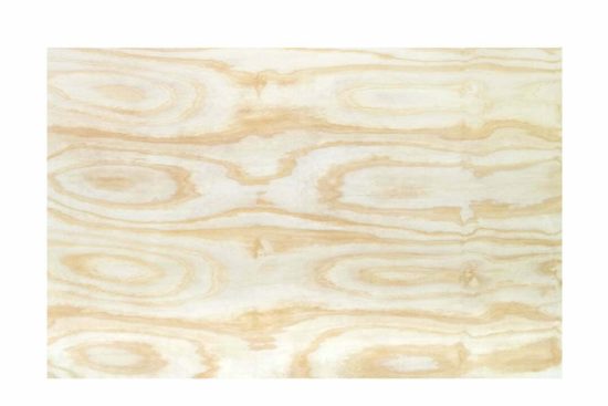 Compensado fenólico B+C Pino 12