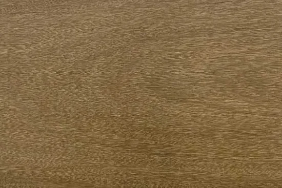 LAPACHO BOLIVIANO 2"