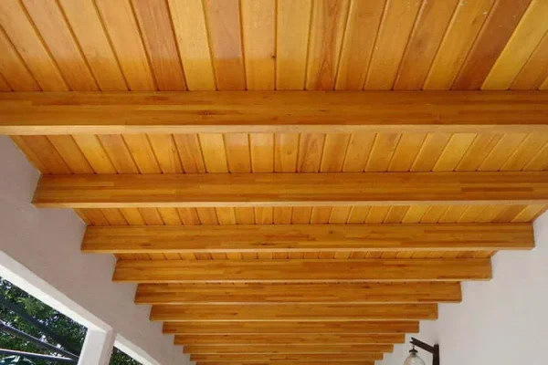 techos-de-madera-2-1